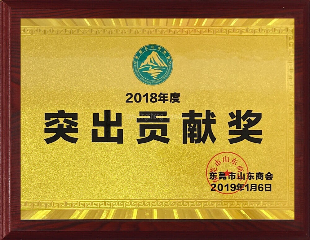 Outstanding Contribution Award for 2018